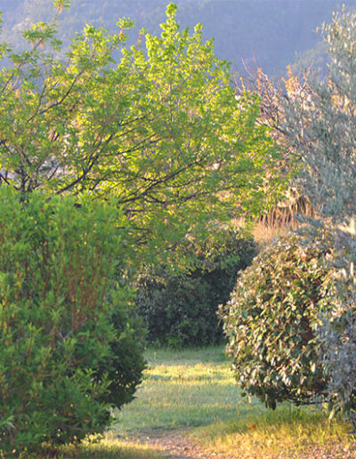 Des vacances dans le gîte La Bergamote à Malaucène en Vaucluse, proche de la nature et de la faune et la flore locale