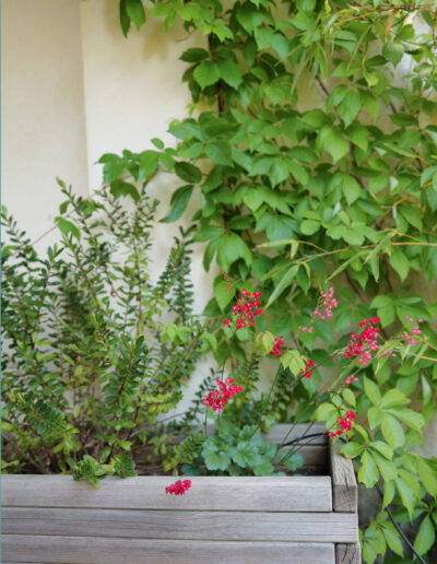 Une maison de vacances fleurie où les parfums des fleurs de Provence vous font voyager