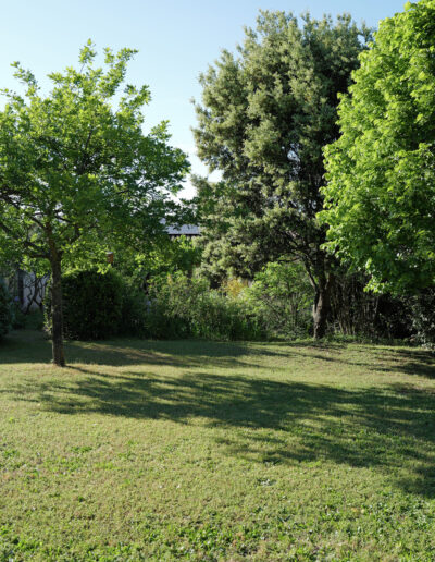 Un grand espace arboré privatif au gîte pour bronzer au soleil ou se reposer à l'ombre des chênes et tilleuls